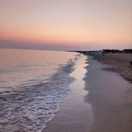 Salento 1 *