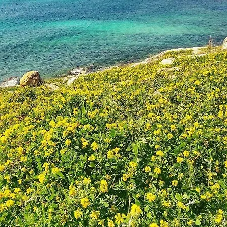 Salento 1 托雷瓦多