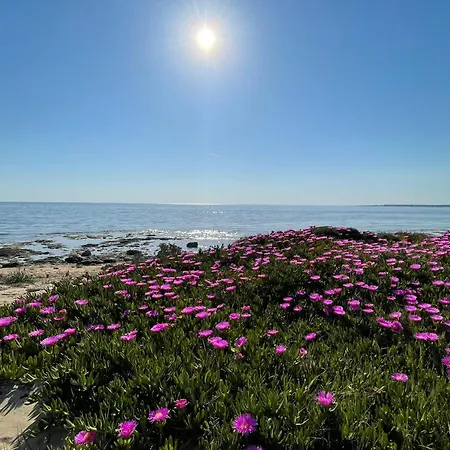 Salento 1 度假居 托雷瓦多