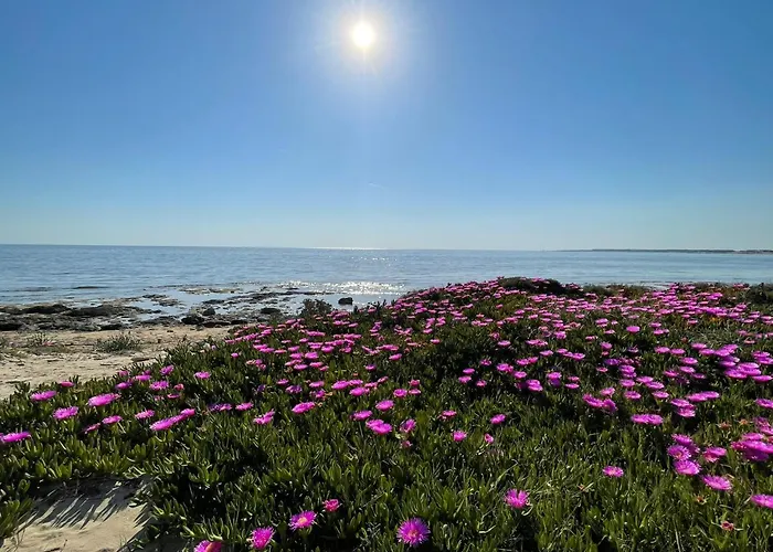 Salento 1 度假居 托雷瓦多