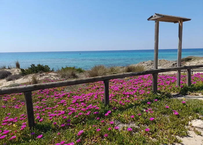 Salento 1 Hébergement de vacances Torre Vado